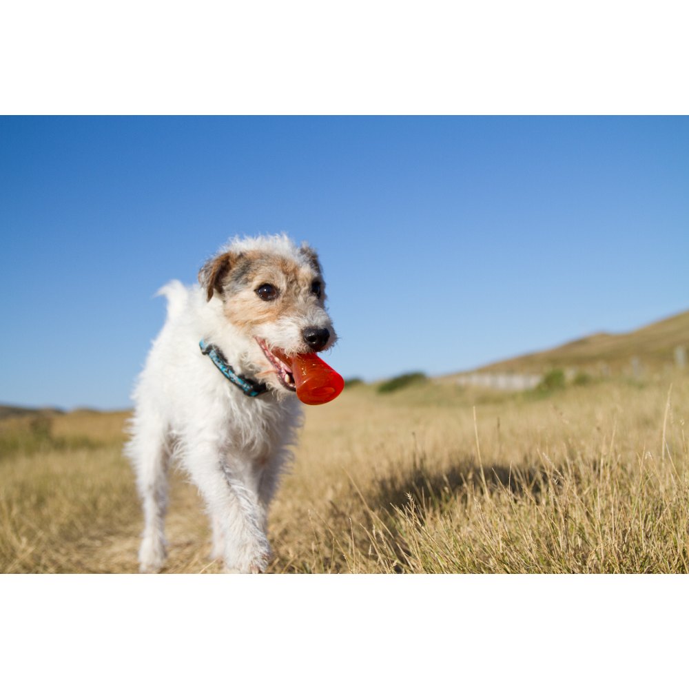 Juguetes ultra resistentes para perros BIONIC Hueso