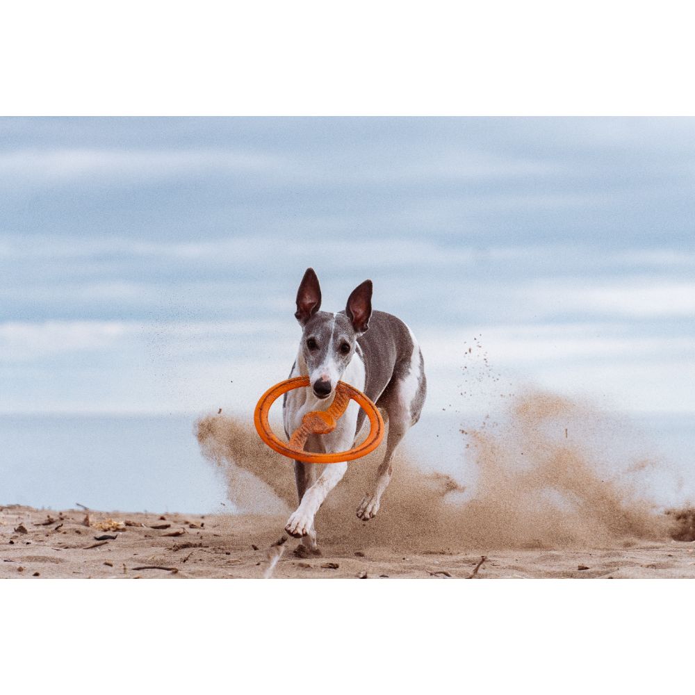 Juguete ultra resistente para perros BIONIC Toss-N-Tug