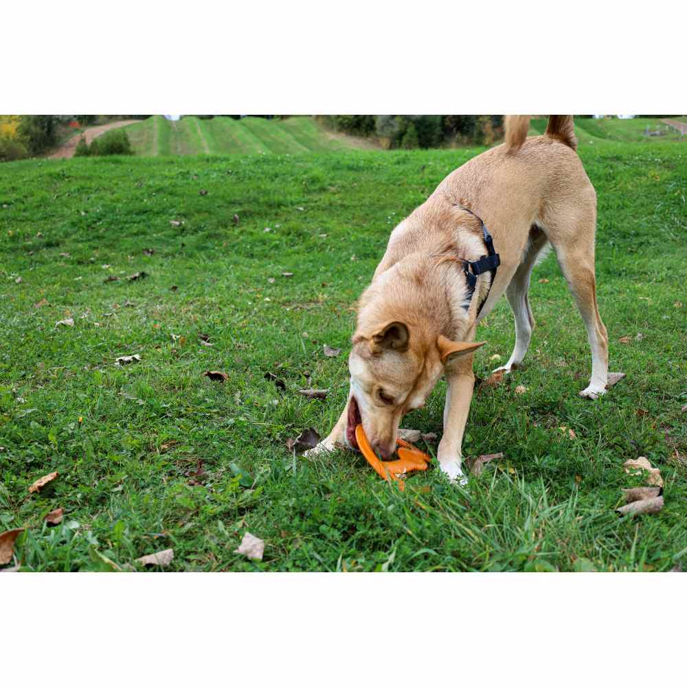 Juguete ultra resistente para perros BIONIC Toss-N-Tug