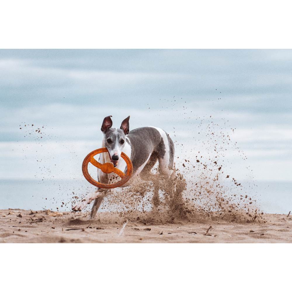Juguete ultra resistente para perros BIONIC Toss-N-Tug