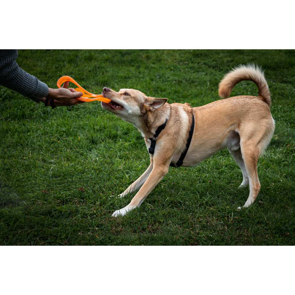 Juguete ultra resistente para perros BIONIC Toss-N-Tug