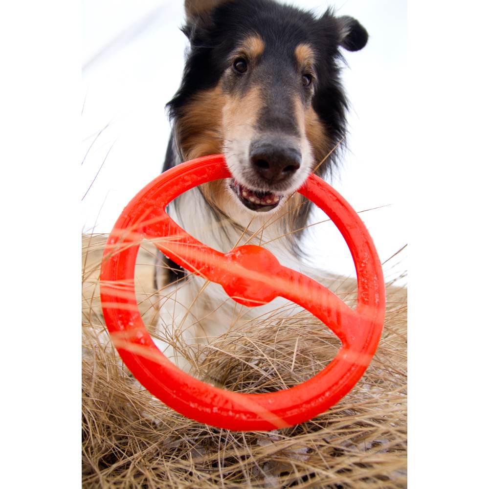 Juguete ultra resistente para perros BIONIC Toss-N-Tug