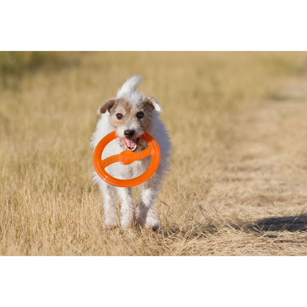 Juguete ultra resistente para perros BIONIC Toss-N-Tug