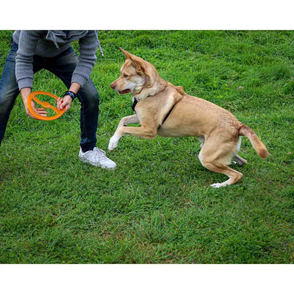 Juguete ultra resistente para perros BIONIC Toss-N-Tug