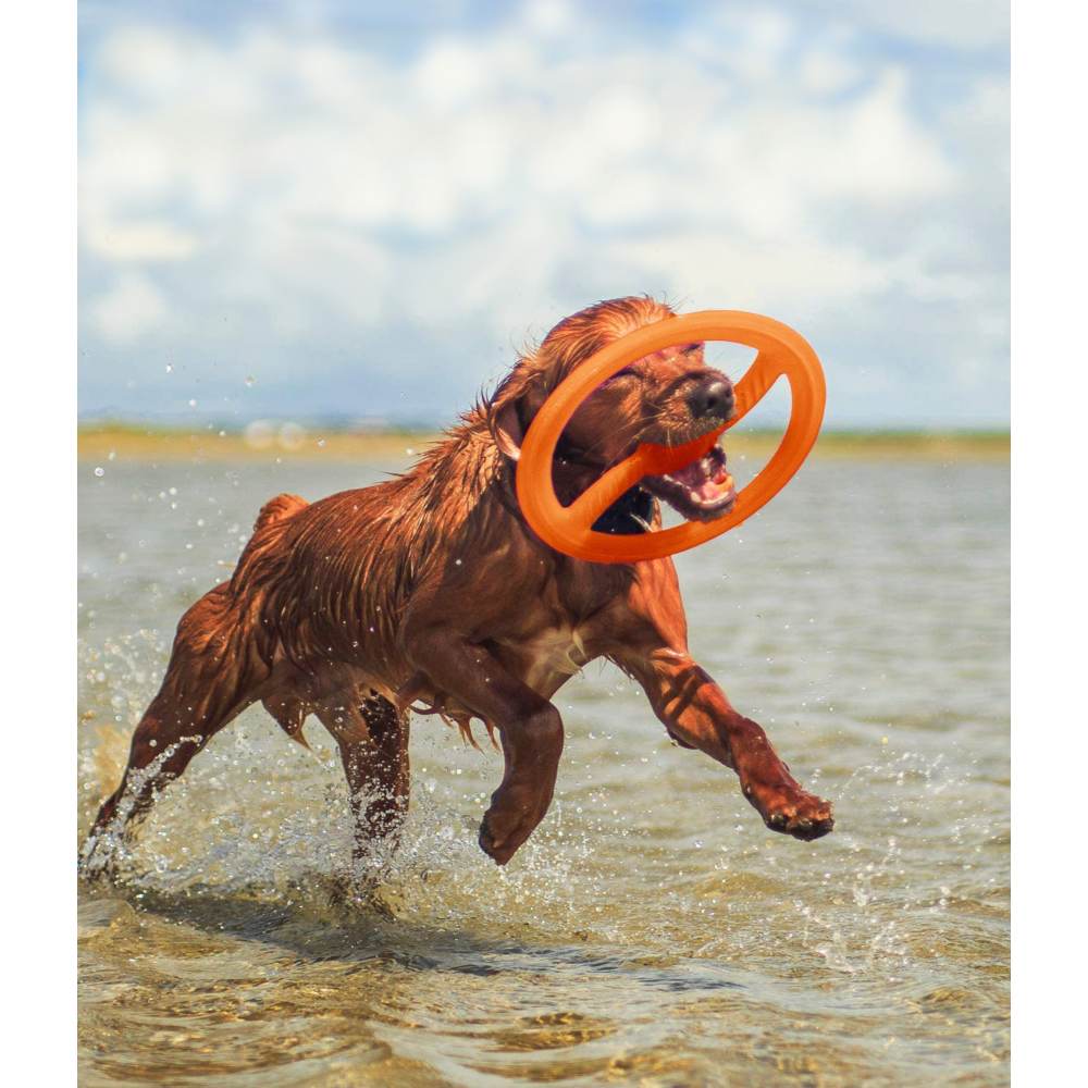 Juguete ultra resistente para perros BIONIC Toss-N-Tug