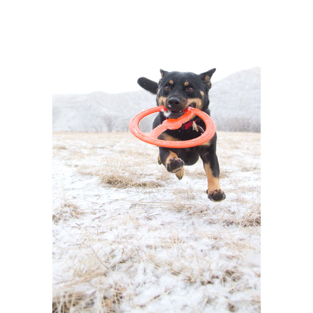 Juguete ultra resistente para perros BIONIC Toss-N-Tug