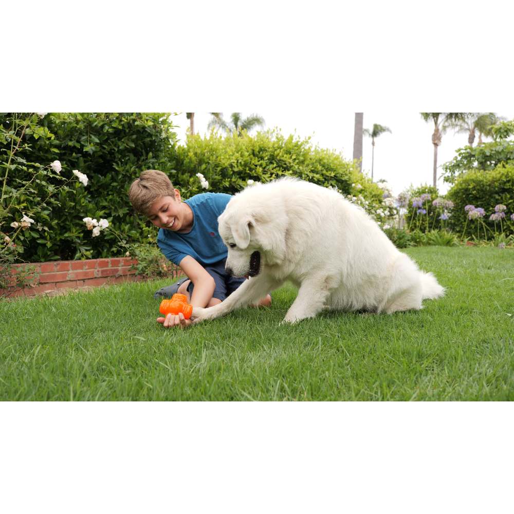 Juguete ultra resistente para perros BIONIC Treat Star