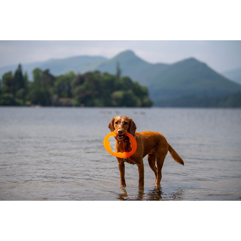 Juguete ultra resistente para perros BIONIC Toss-N-Tug Turbo