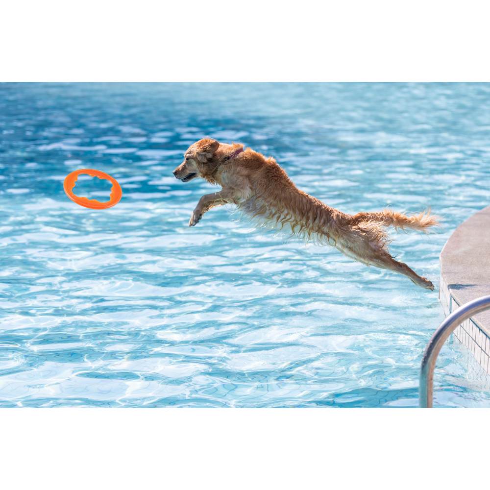 Juguete ultra resistente para perros BIONIC Toss-N-Tug Turbo