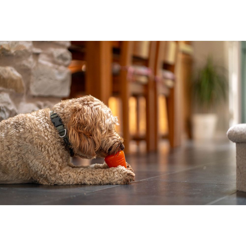 Juguetes ultra resistentes para perros BIONIC Treat Shaker