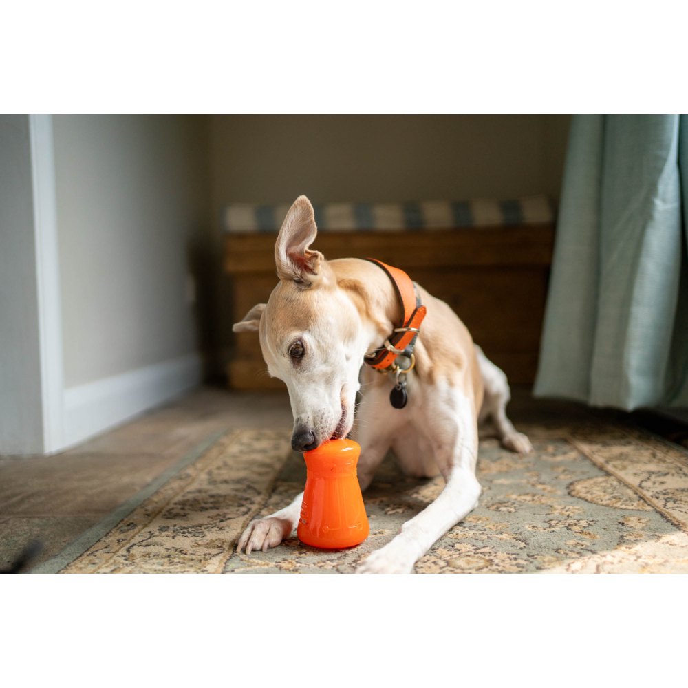 Juguetes ultra resistentes para perros BIONIC Treat Shaker