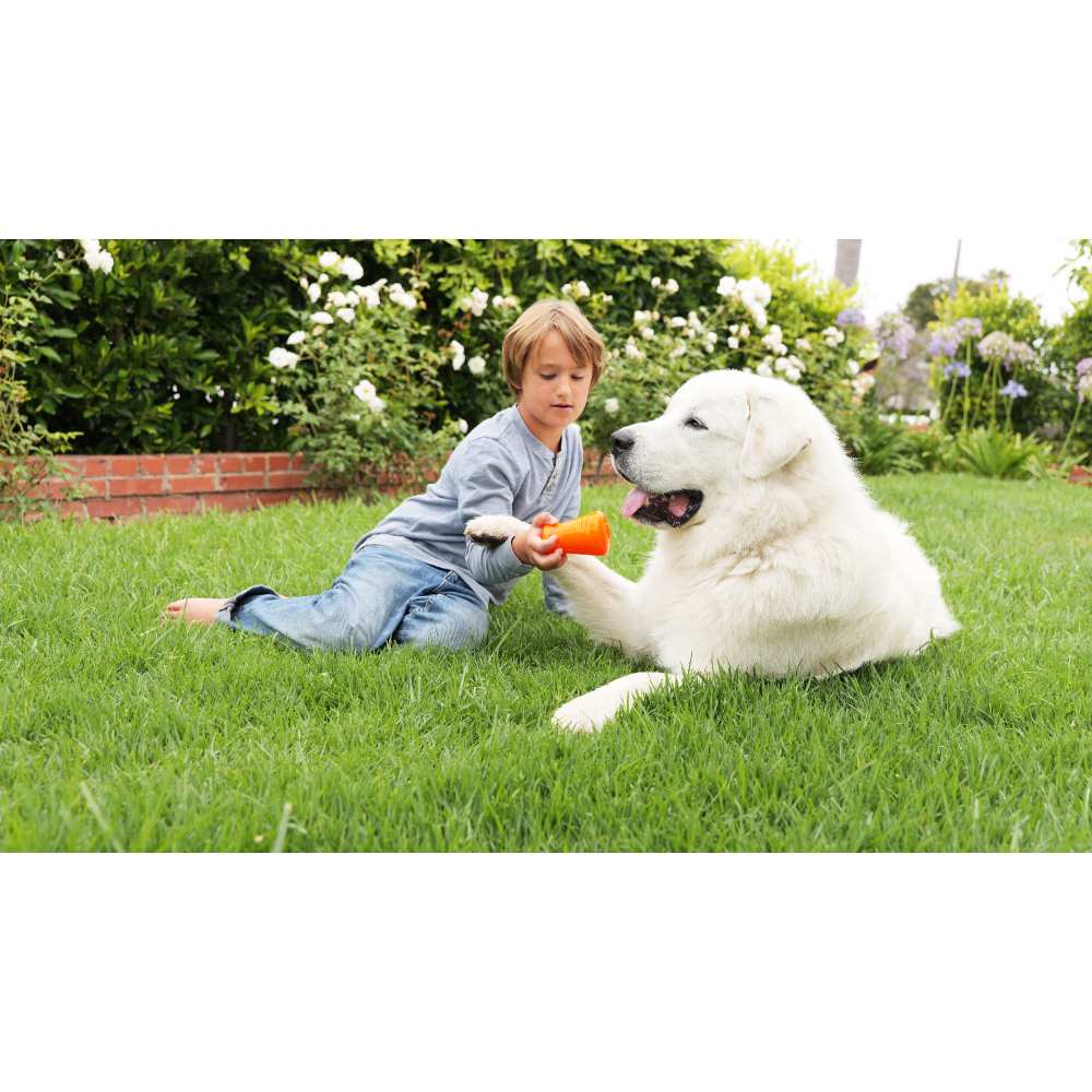 Juguetes ultra resistentes para perros BIONIC Treat Shaker