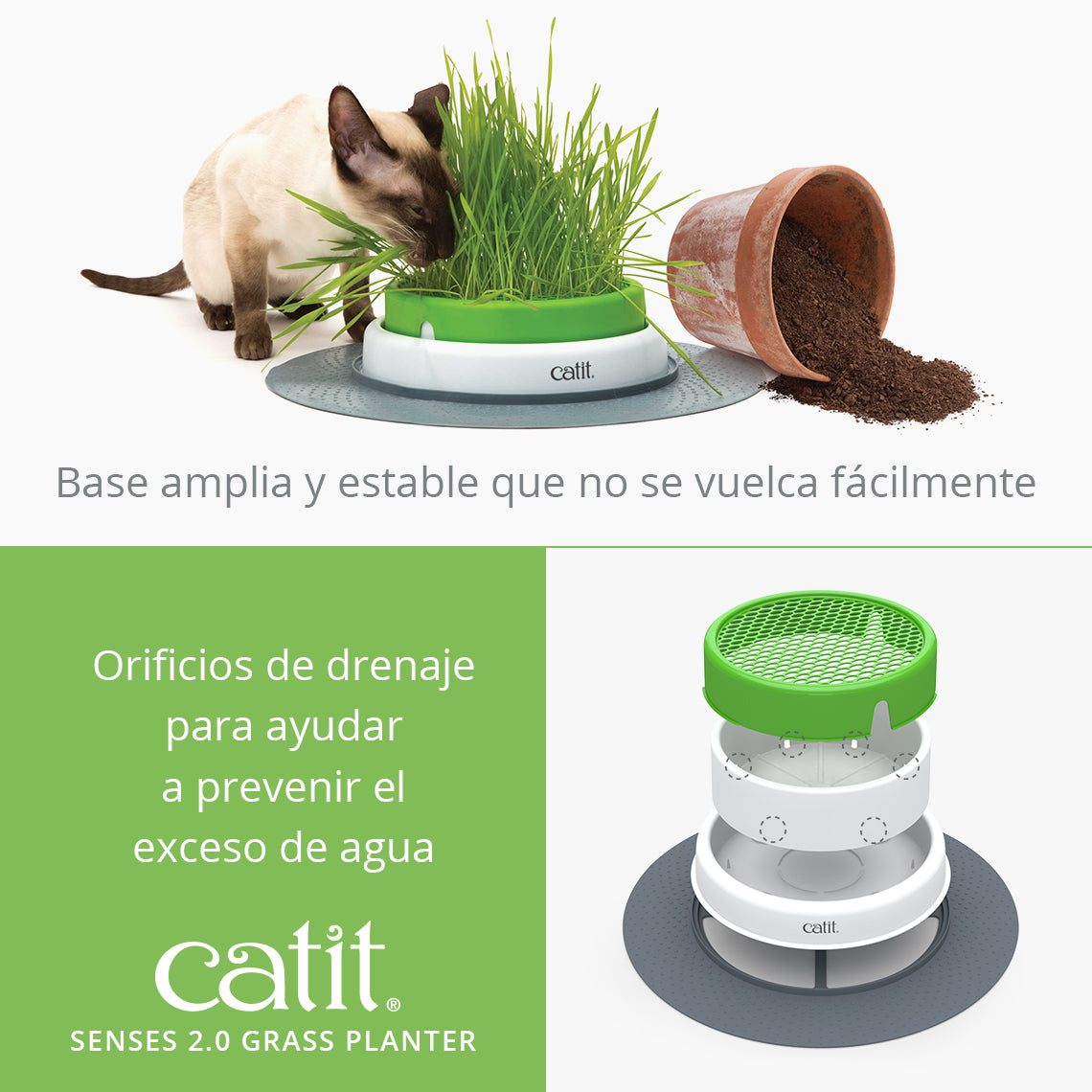 Germinador de Hierba Gatera Catit Senses