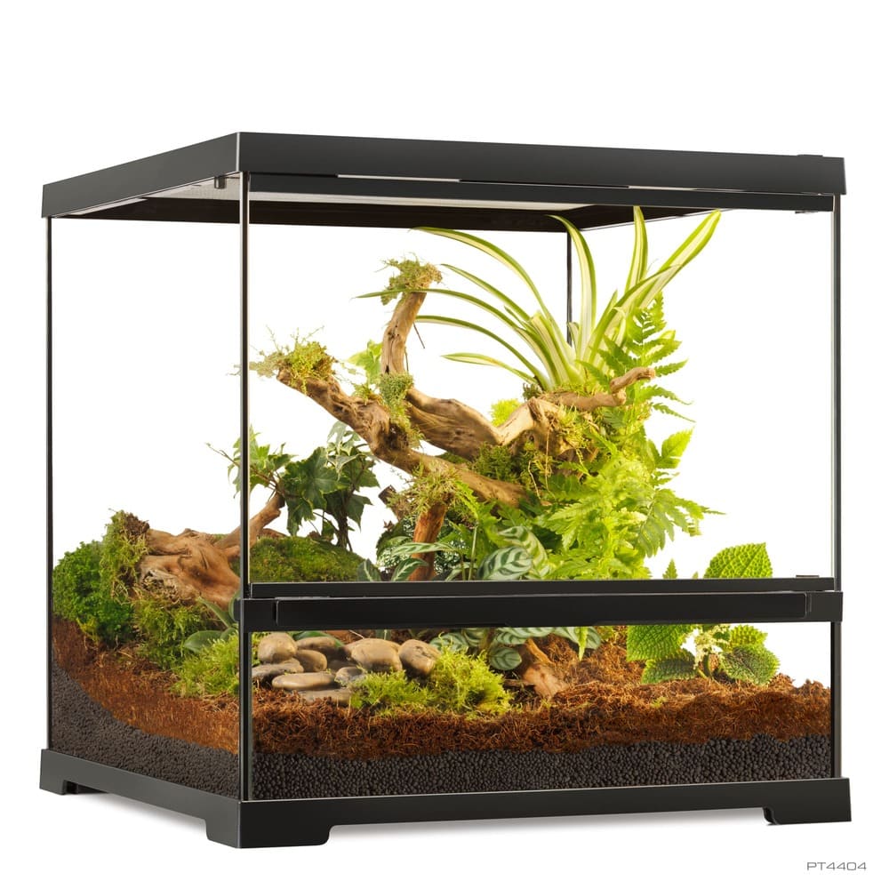 Pro Terrarium de Cristal Exo Terra Pequeño 45x45cm