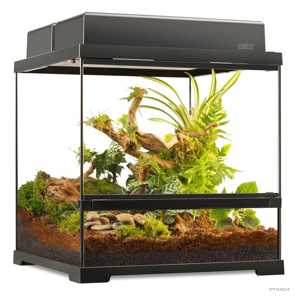 Pro Terrarium de Cristal Exo Terra Pequeño 45x45cm