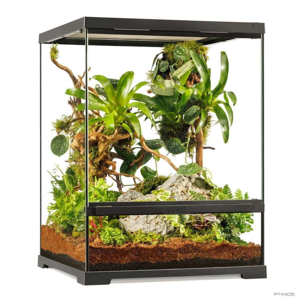 Pro Terrarium de Cristal Exo Terra Pequeño 45x45cm