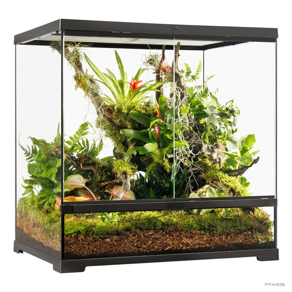 Pro Terrarium de Cristal Exo Terra Mediano 60x45cm