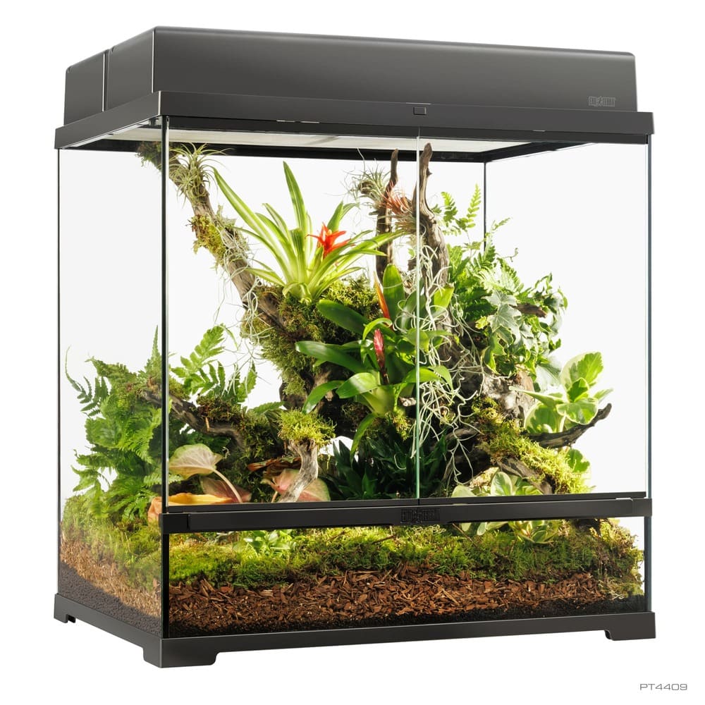 Pro Terrarium de Cristal Exo Terra Mediano 60x45cm