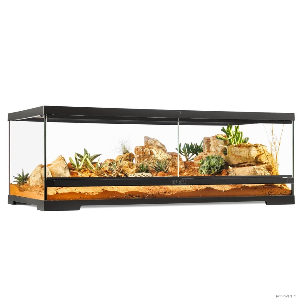 Pro Terrarium de Cristal Exo Terra Grande 90x45cm