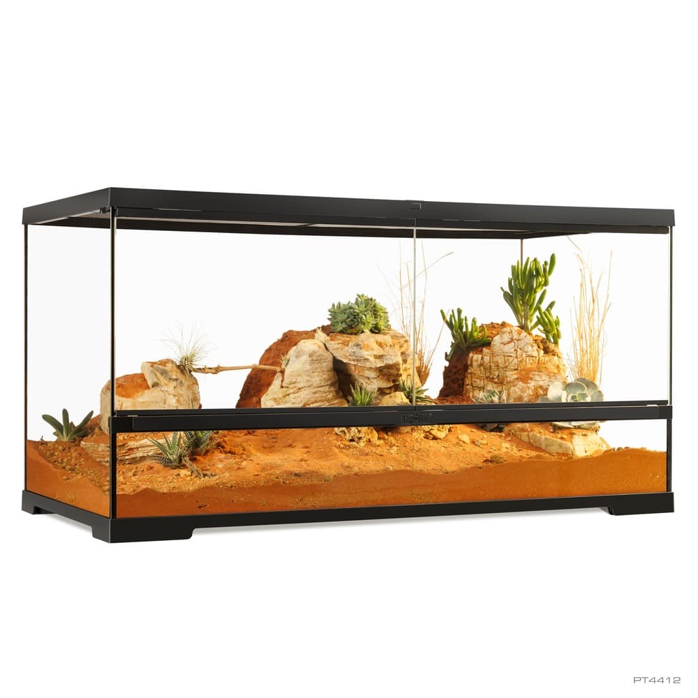 Pro Terrarium de Cristal Exo Terra Grande 90x45cm