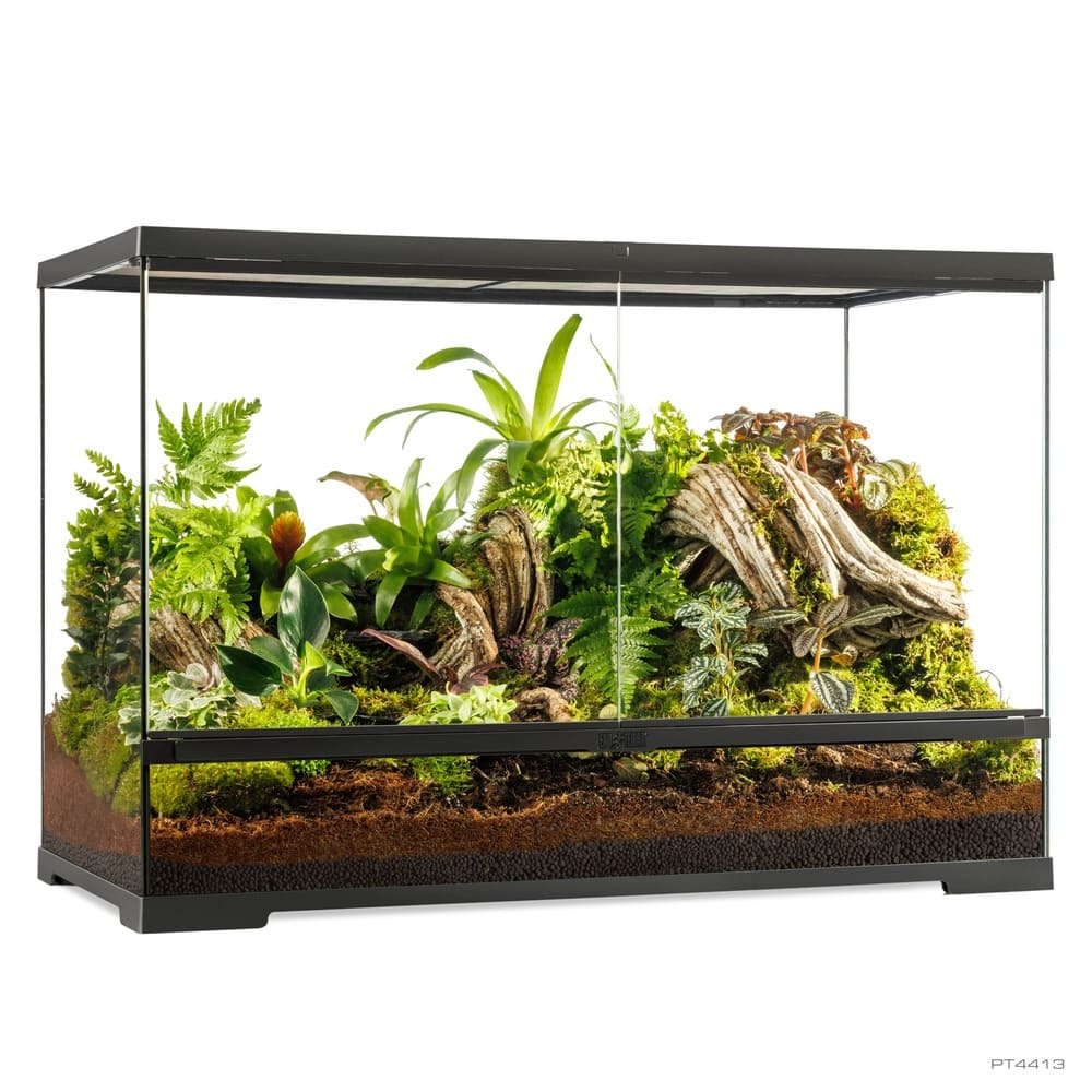 Pro Terrarium de Cristal Exo Terra Grande 90x45cm