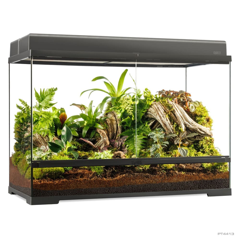 Pro Terrarium de Cristal Exo Terra Grande 90x45cm