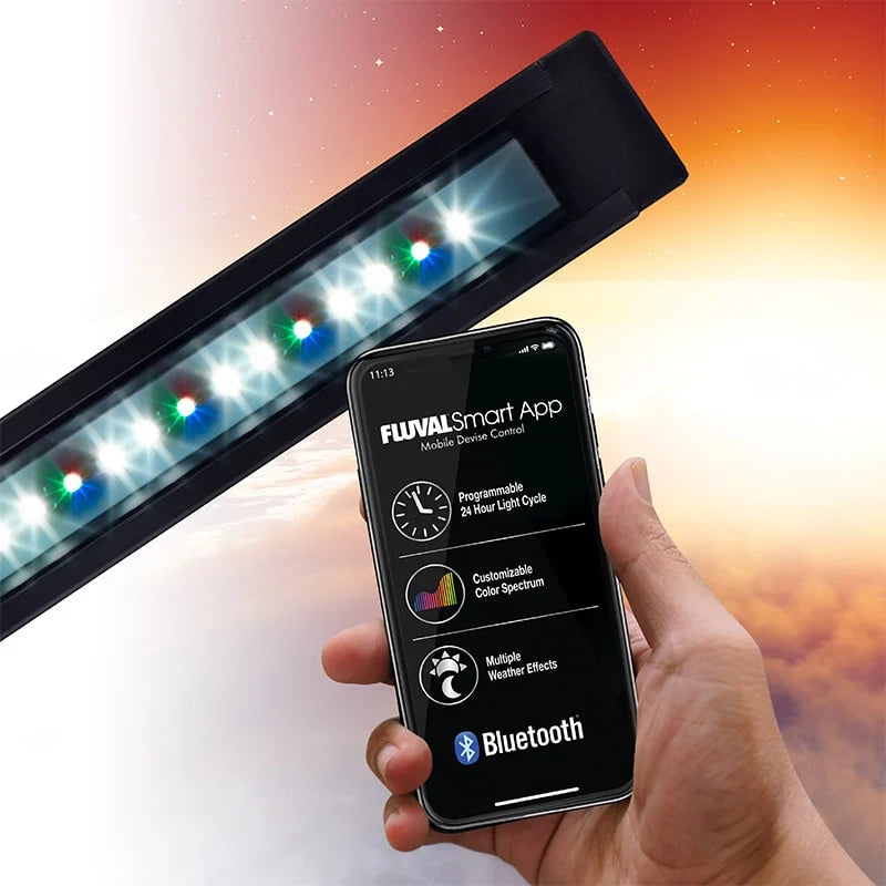 Acuario con iluminación LED bluetooth Fluval Roma de 240L