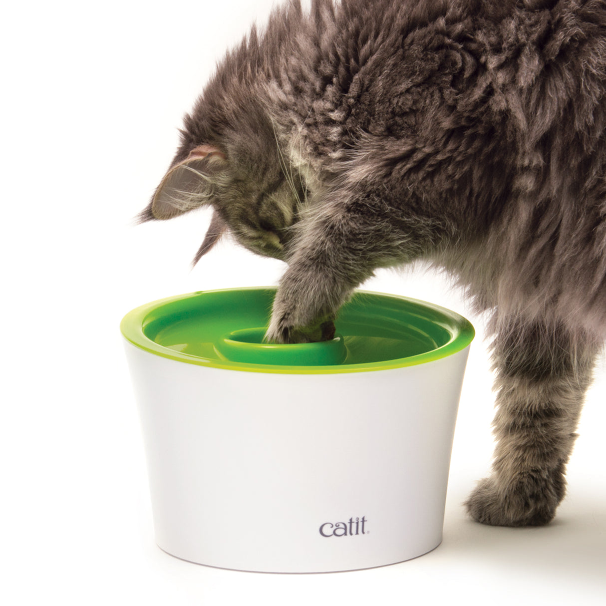 Comedero antivoracidad para gatos Catit Multi Feeder