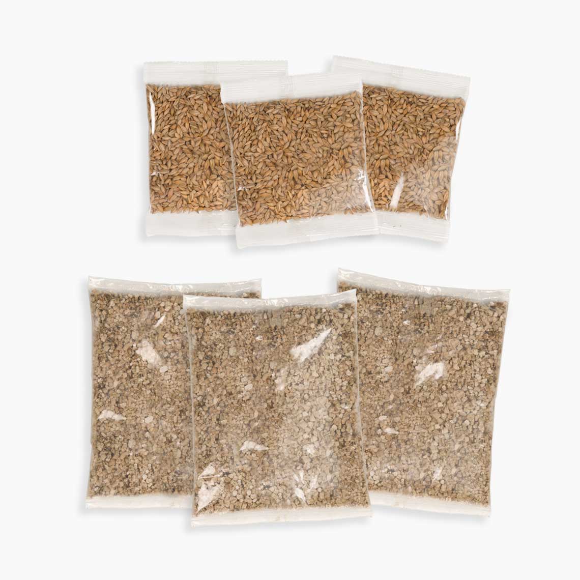 Kit de hierba Cat Grass Kit Catit