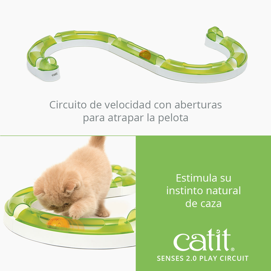 Circuitos con pelota para gatos Catit Senses