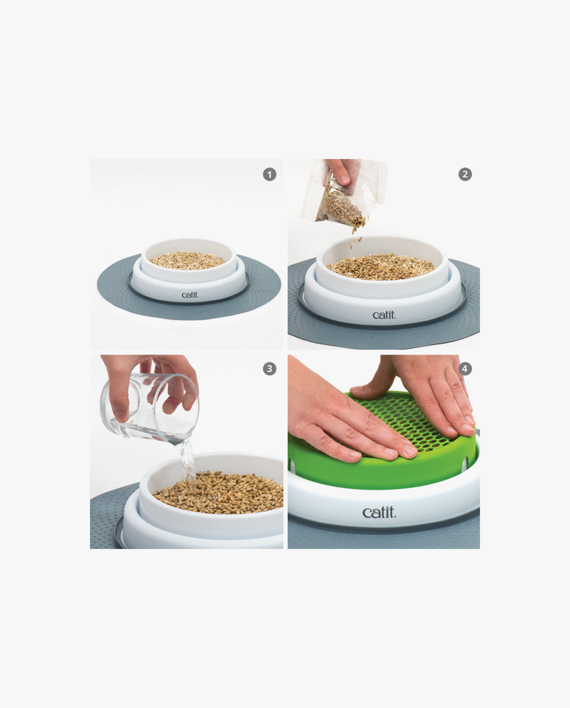 Kit de hierba Cat Grass Kit Catit