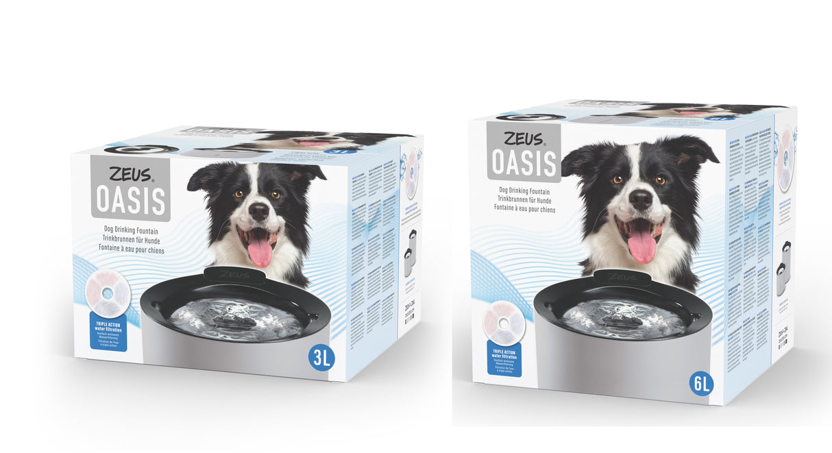 Fuente para perros Zeus Oasis