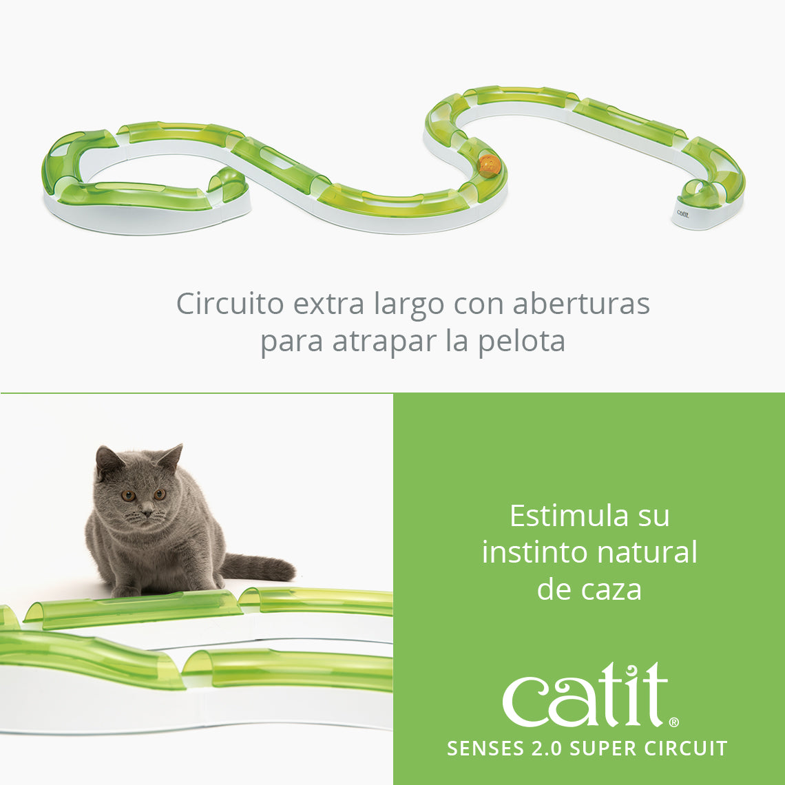 Circuitos con pelota para gatos Catit Senses
