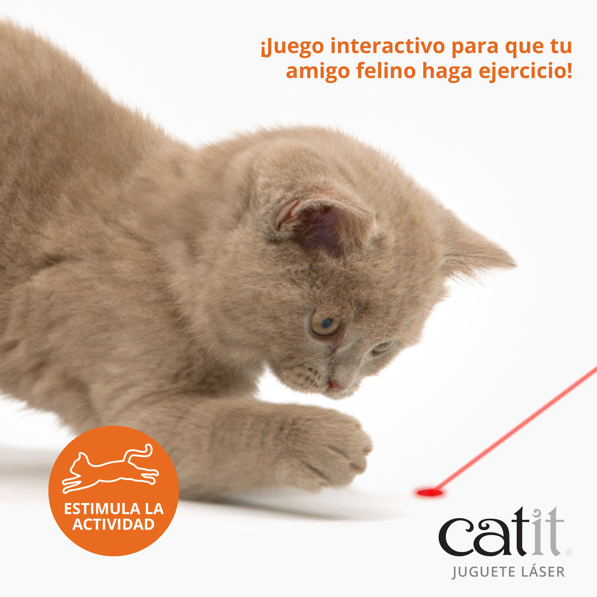 Juguete láser para gatos Catit