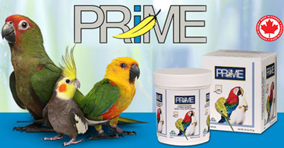 Prime, suplemento de vitaminas, minerales y aminoácidos para pájaros