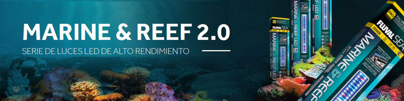 Nueva iluminación Fluval Marine & Reef para acuarios marinos