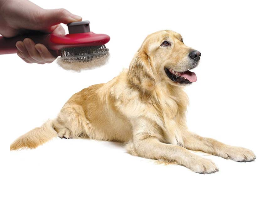 Cepillo autolimpiable para perro Le Salon