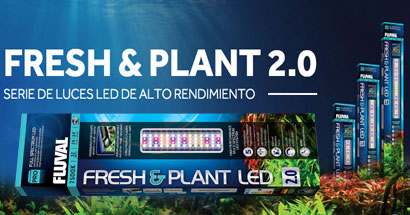 Iluminación Fluval Fresh & Plant para plantas 