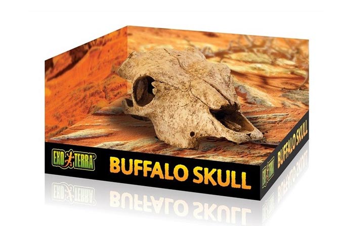 refugio-skull-buffalo-exoterra.jpg