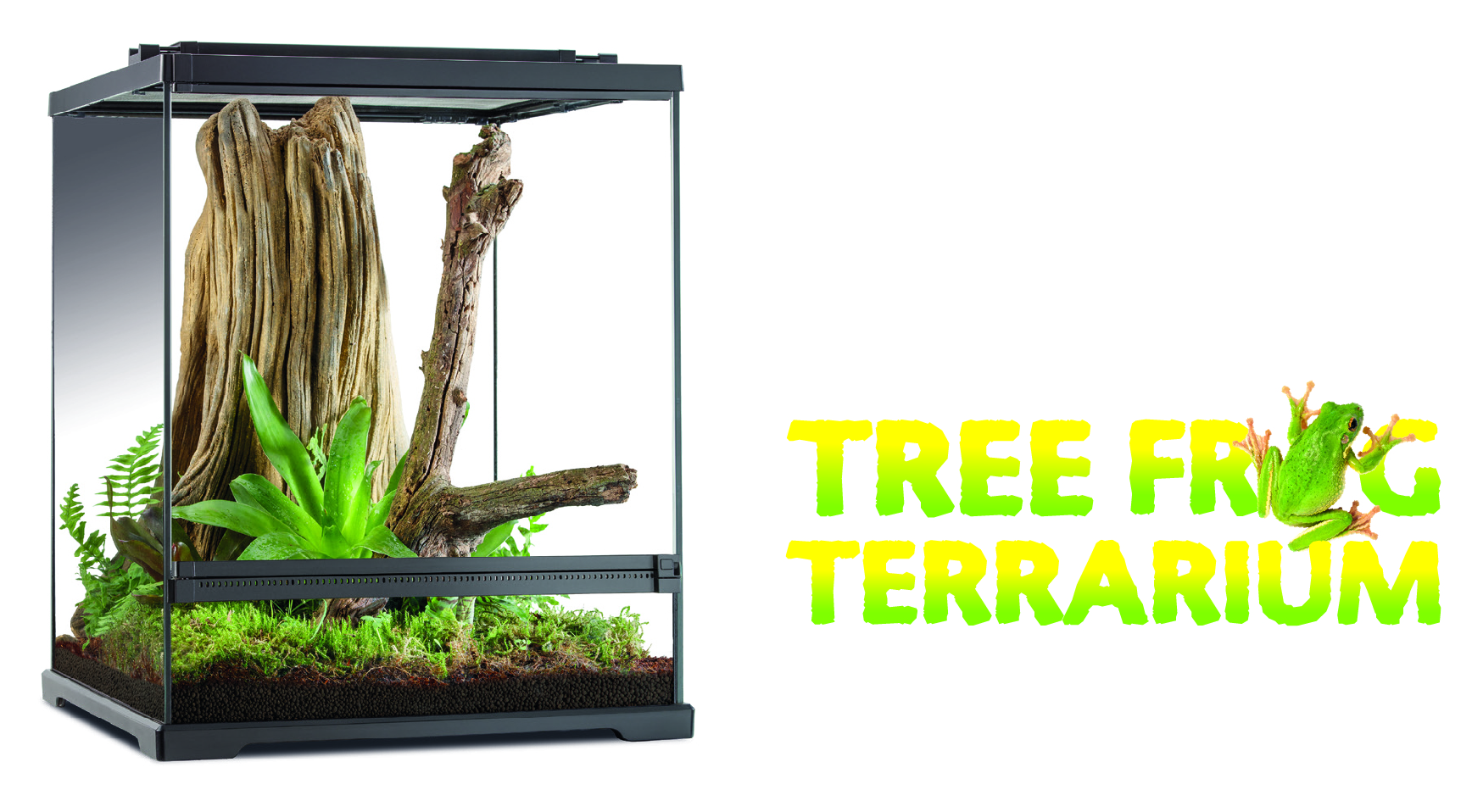 Tree Frog Terrario Exo Terra