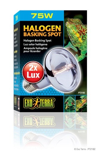 Exo Terra Halogen Basking Spot, 75W