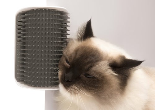 Catit Senses 2.0 Self Groomer