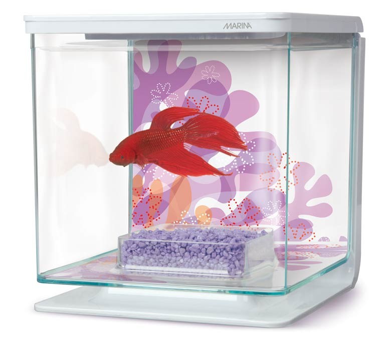 Marina Betta Kit, Flower