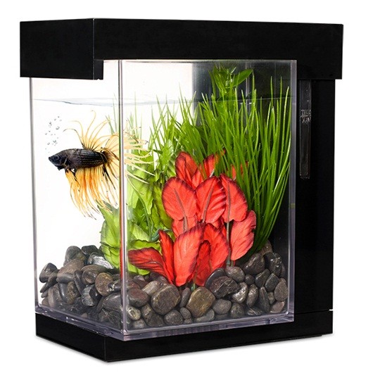 Marina Betta EZ Care Style Bettera, 3,7 L, Negro