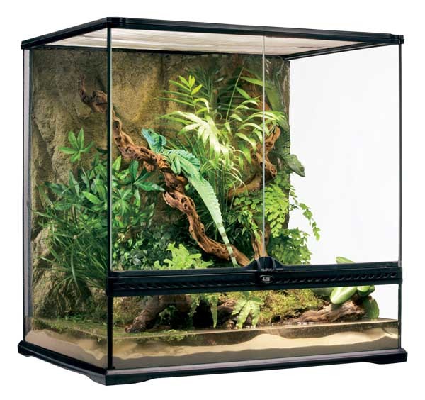 Exo Terra Terrario M/Tall, 162L, 60x45x60cm