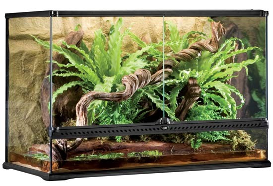 Exo Terra Terrario L/Tall, 243L, 90x45x60cm