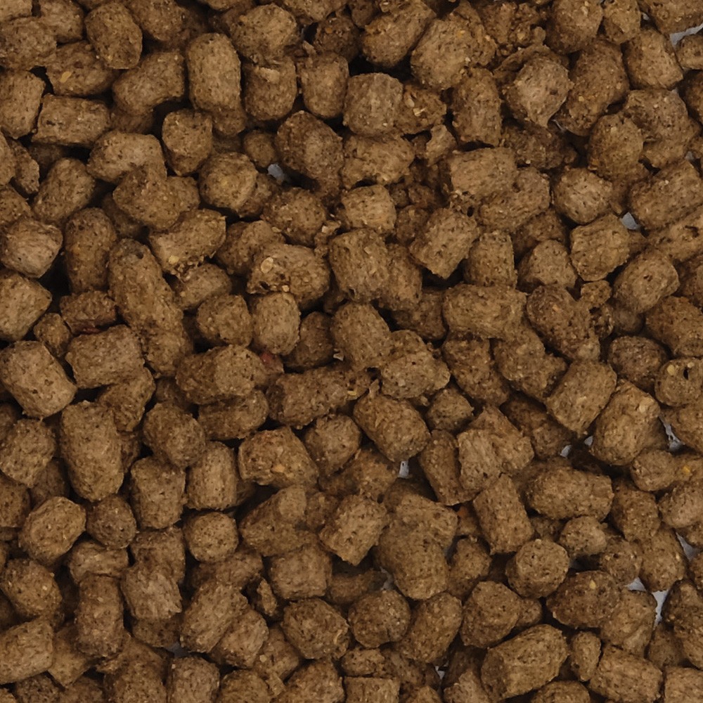 Fluval Bug Bites Cíclidos Pellets, 100g