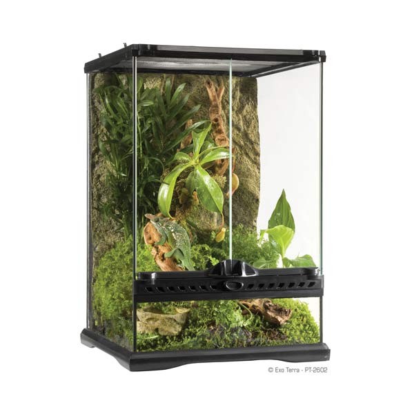 Exo Terra Terrario Mini/Tall, 40,5L, 30x30x45cm