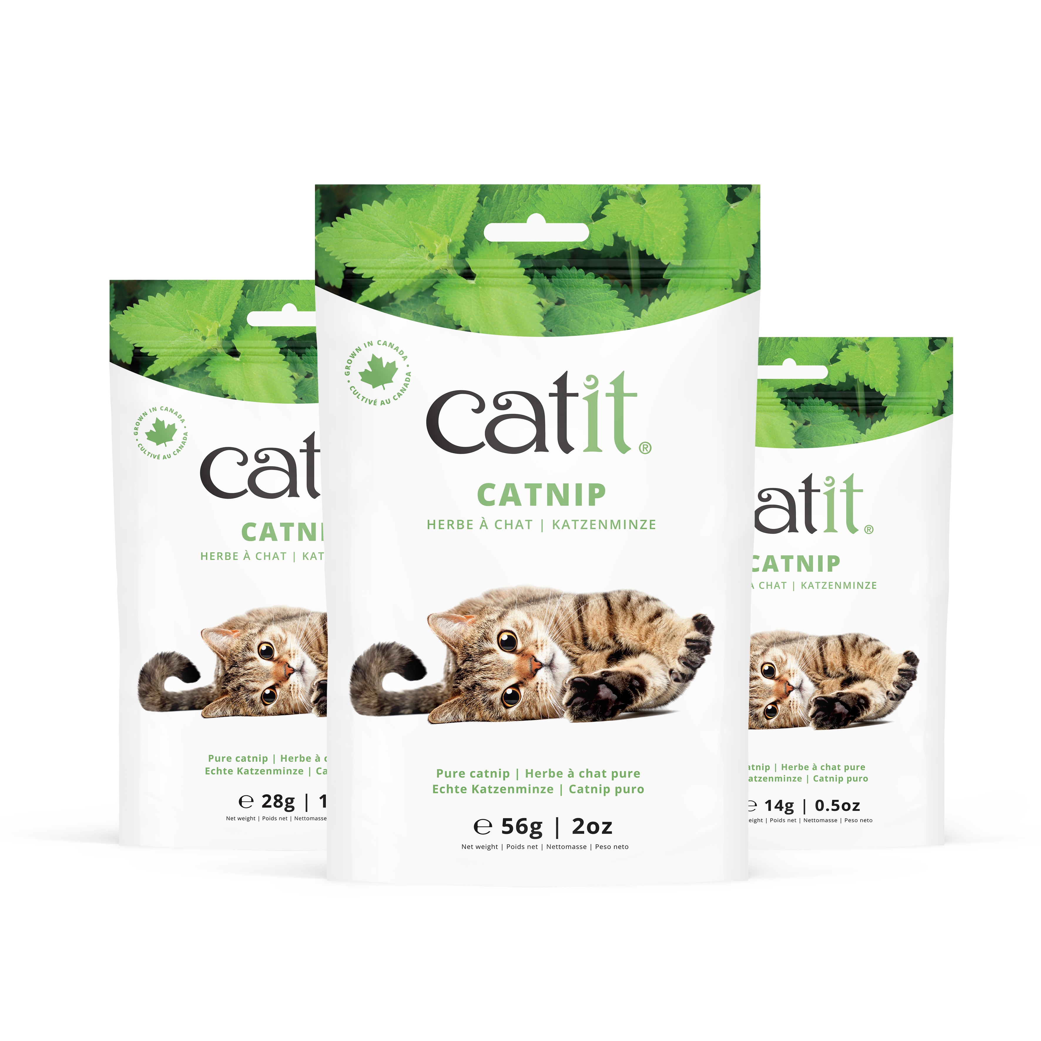 Catit Catnip Bolsa, 56g