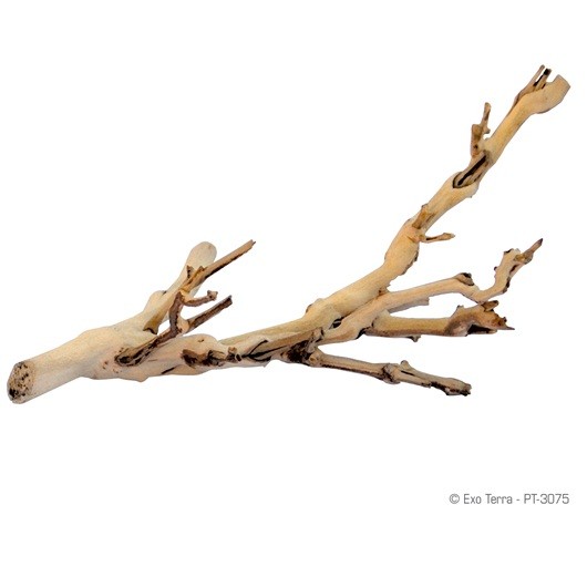 Exo Terra Forest Branch Peq. 30cm